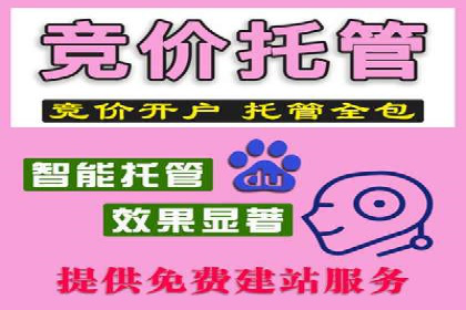 竞价广告在XX行业的成功应用案例